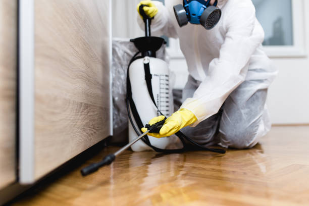 Best Affordable Pest Control Services  in Hamilton College, NY