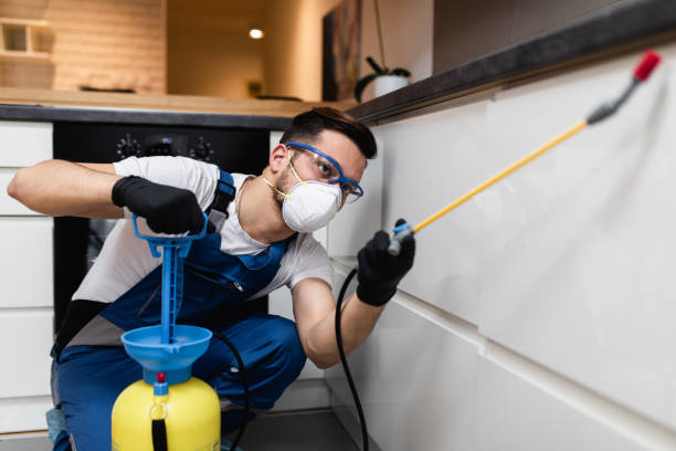 Best Pest Inspection Near Me  in Hamilton College, NY