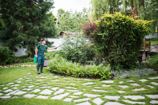 Best Local Pest Control Services  in Hamilton College, NY