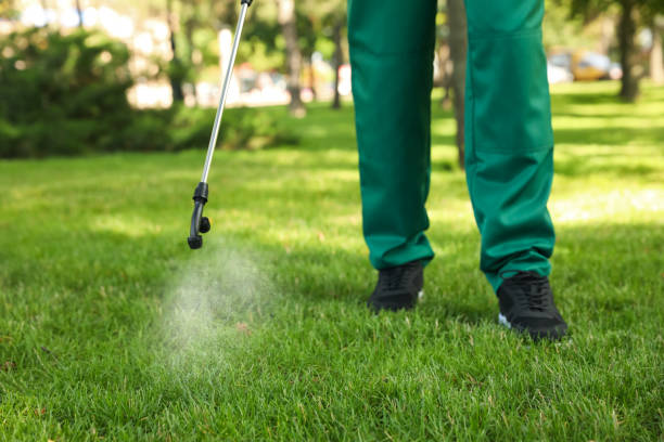 Best Flea Control Services  in Hamilton College, NY
