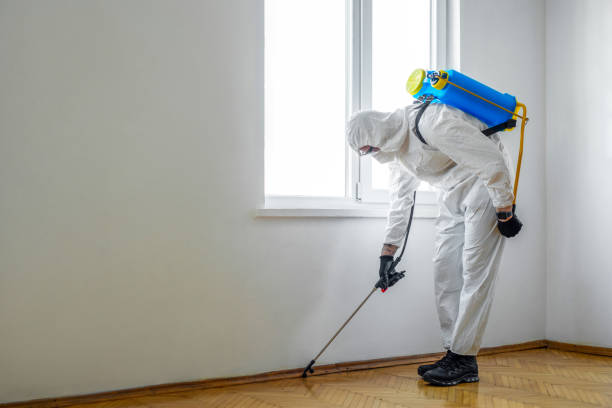 Best Exterminator Services  in Hamilton College, NY