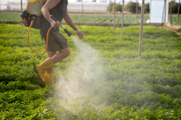 Best Local Pest Control Services  in Hamilton College, NY