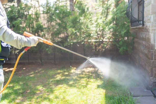 Best Spider Control Near Me  in Hamilton College, NY