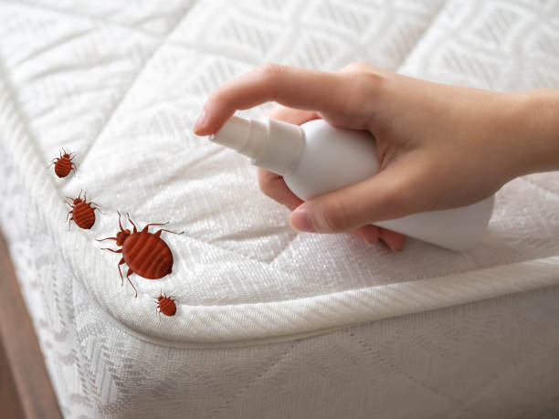 Best Residential Pest Control  in Hamilton College, NY