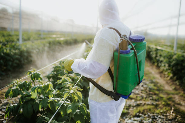 Best Flea Control Services  in Hamilton College, NY